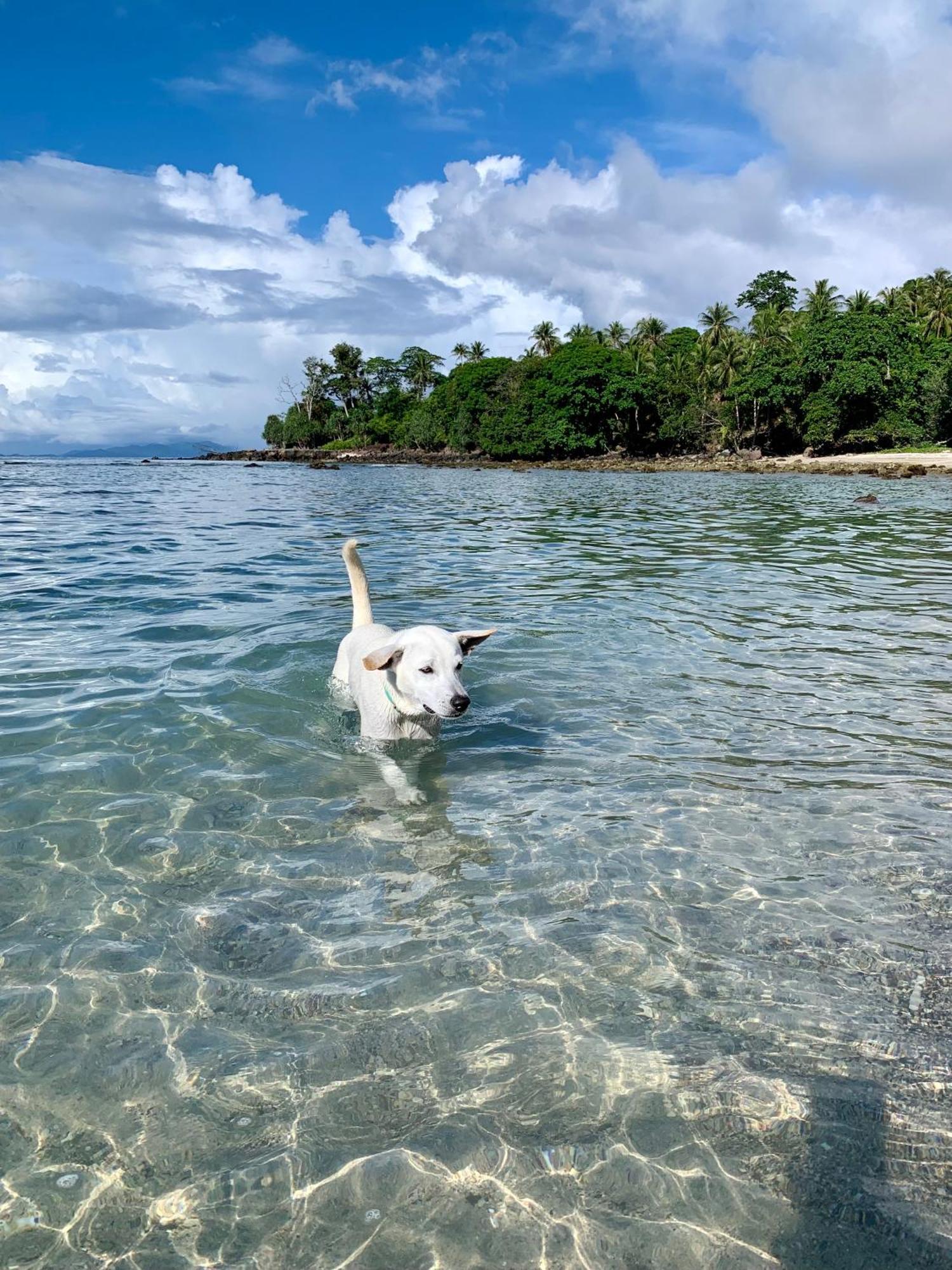 Sunset Beach Resort Weh Sabang  Kültér fotó